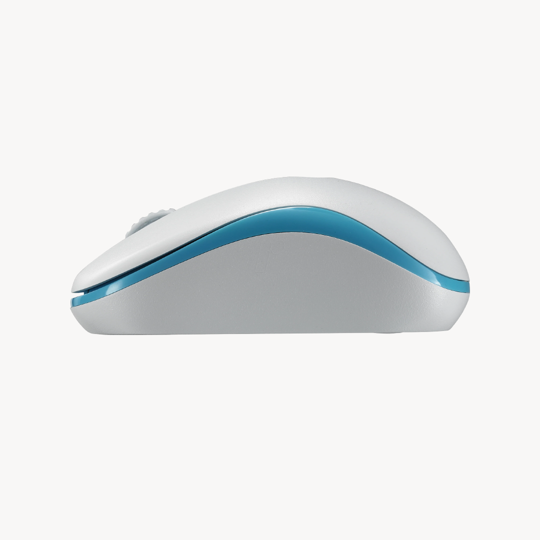 RAPOO M10 Plus Wireless Mouse